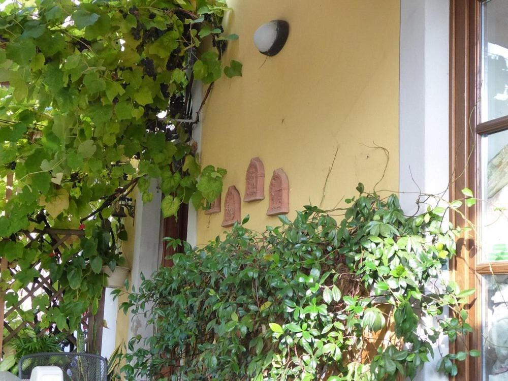 B&B Il Casale Di Nanni Lucca Luaran gambar